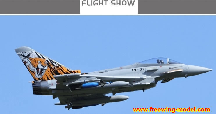 Freewing Eurofighter Typhoon 90mm EDF 8S Jet