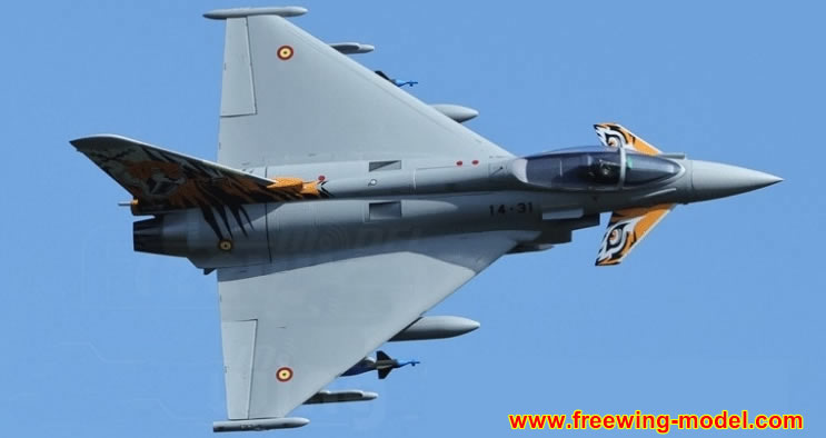 Freewing Eurofighter Typhoon 90mm EDF Jet