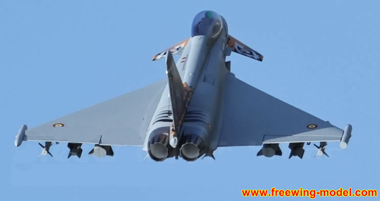 Freewing Eurofighter Typhoon 90mm EDF Jet
