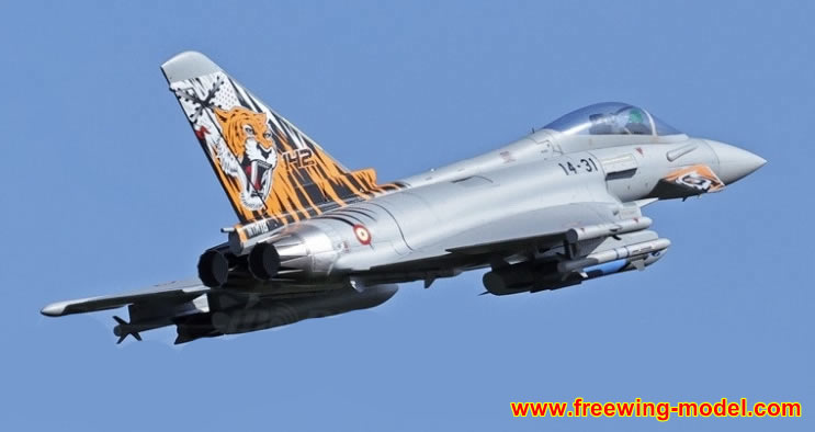 Freewing Eurofighter Typhoon 90mm EDF Jet