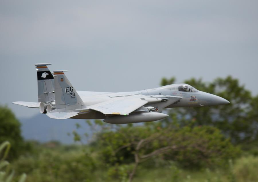 Freewing F-15C Eagle Super Scale High Performance 90mm EDF ARF Plus Jet