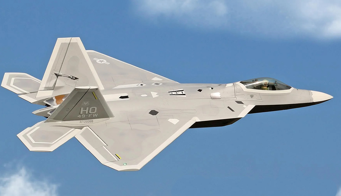 Freewing F-22 Raptor PNP 80mm ARF Plus EDF Jet