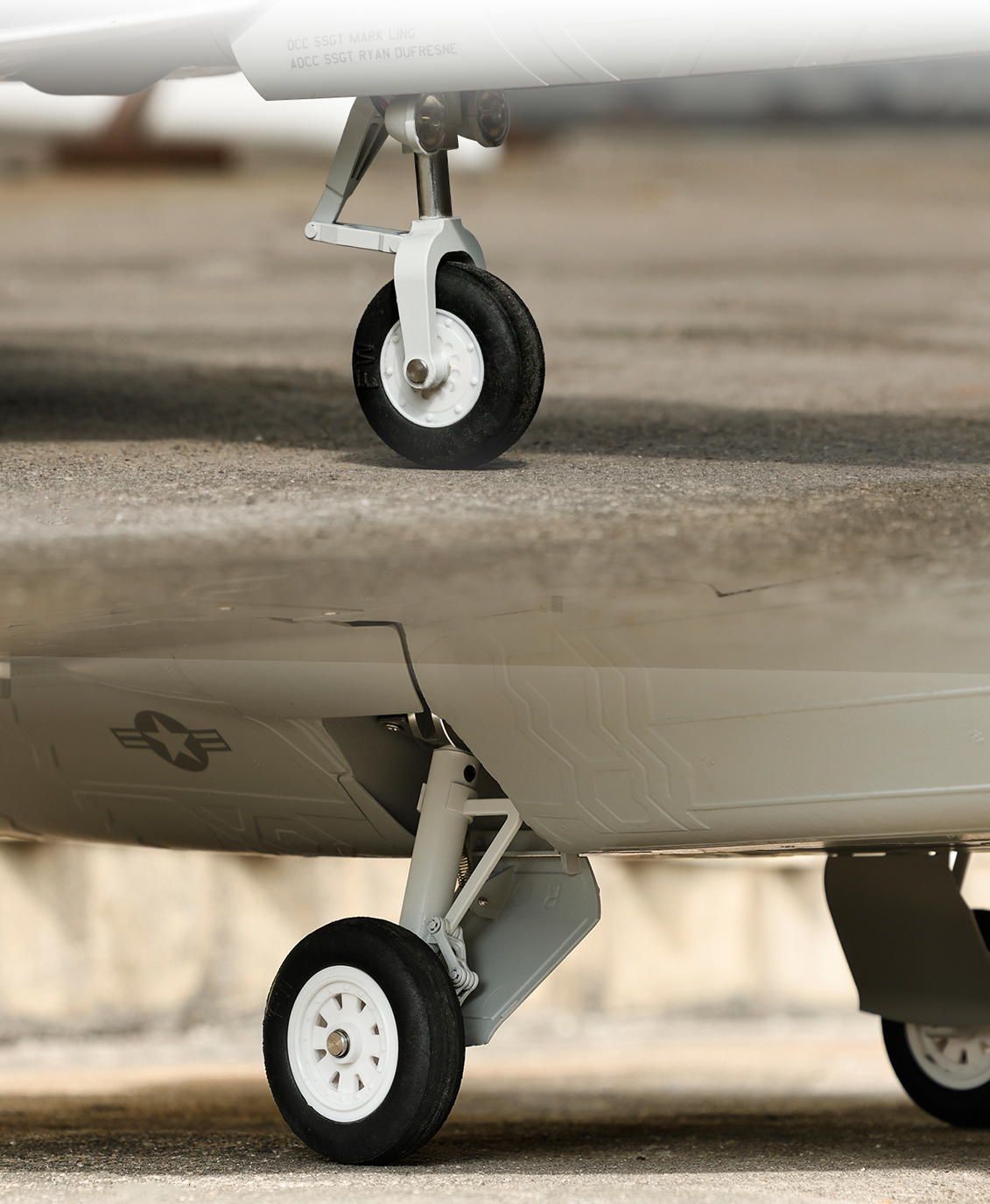 Freewing F-22 Raptor PNP 80mm EDF Jet