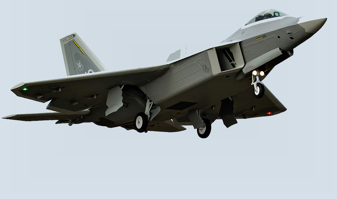 Freewing F-22 Raptor PNP 80mm EDF Jet