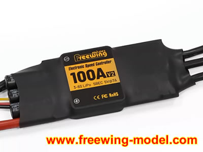 Freewing 100A V2 ESC with EC5 connector